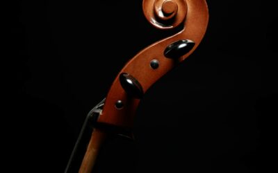 Violon intermédiaire | Herald AS144