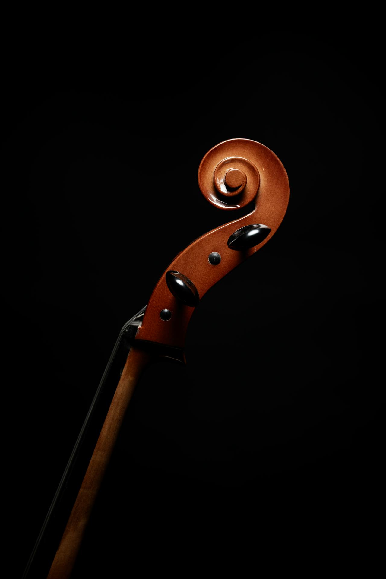 as144 violon